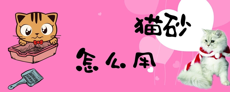 貓砂怎么用