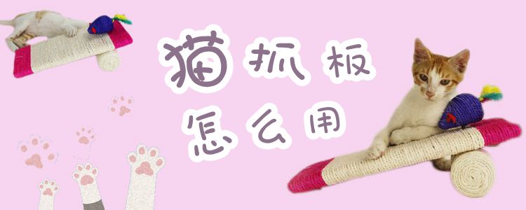 貓抓板怎么用