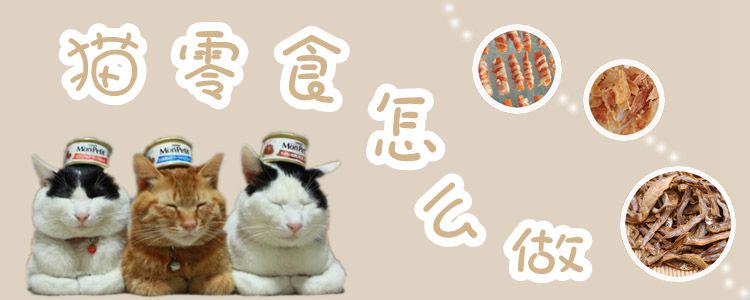 貓零食怎么做