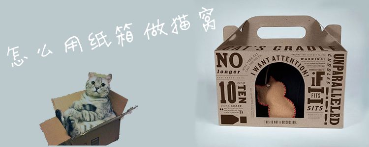 怎么用紙箱做貓窩