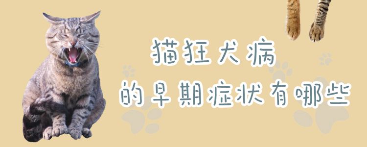 貓狂犬病的早期癥狀有哪些
