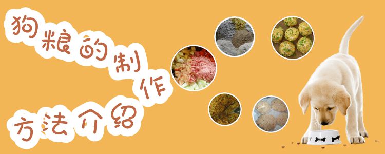狗糧的制作方法介紹