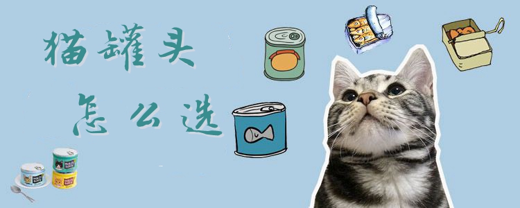 貓罐頭怎么選