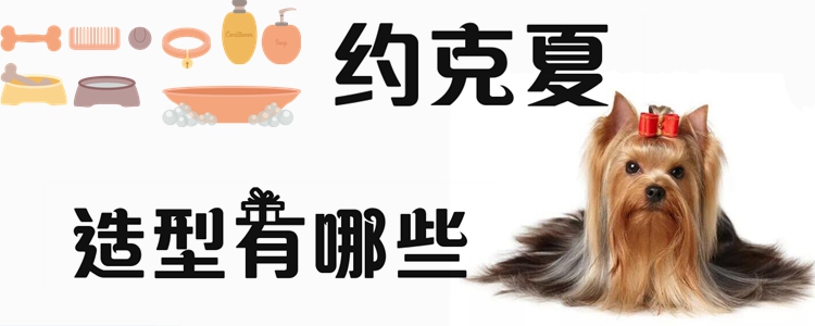 約克夏造型有哪些