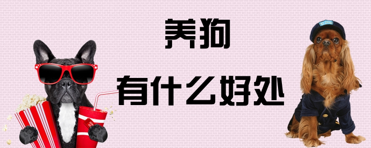 養狗有什么好處