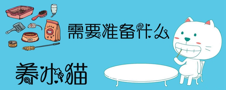 養小貓需要準備什么