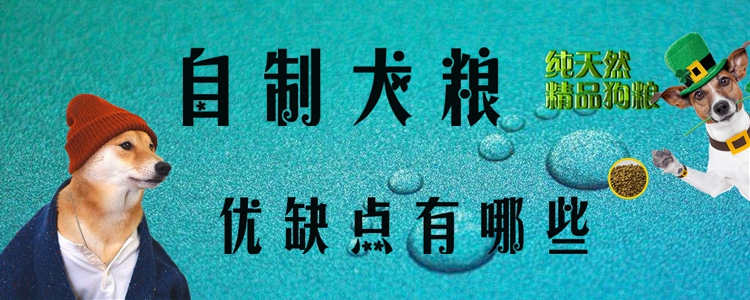 自制犬糧優缺點有哪些