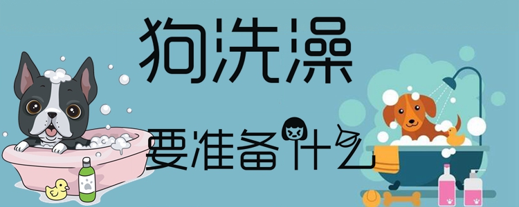 狗洗澡要準(zhǔn)備什么