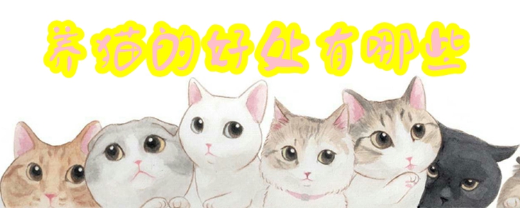 養貓的好處有哪些