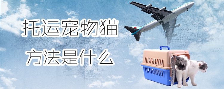 托運寵物貓咪方法是什么