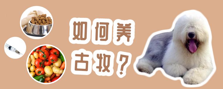 如何養(yǎng)古牧