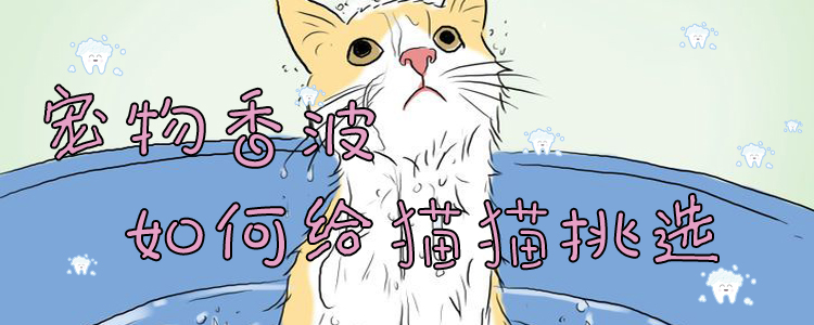 寵物香波如何給貓貓挑選