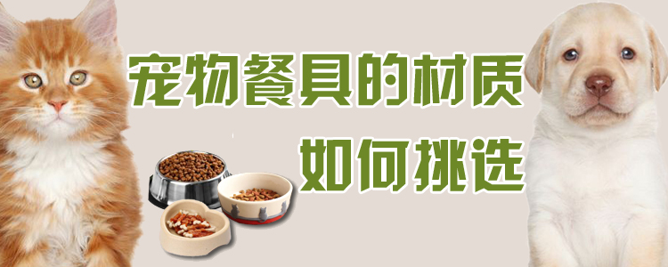 寵物餐具的材質如何挑選