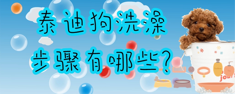 泰迪狗洗澡步驟有哪些