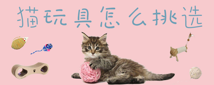 貓玩具怎么挑選