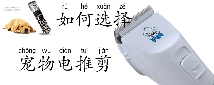 如何選擇寵物電推剪
