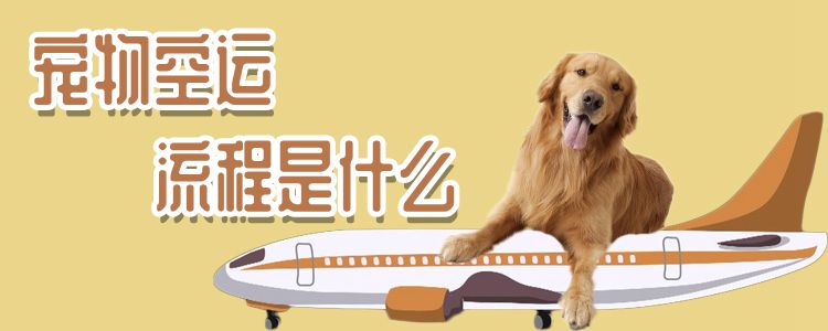 寵物空運流程是什么