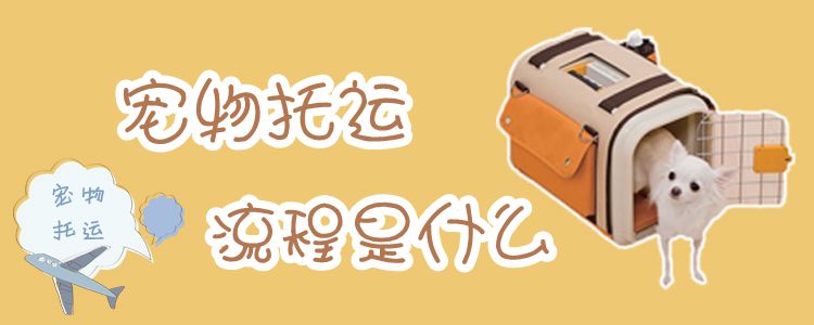 寵物托運(yùn)流程是什么