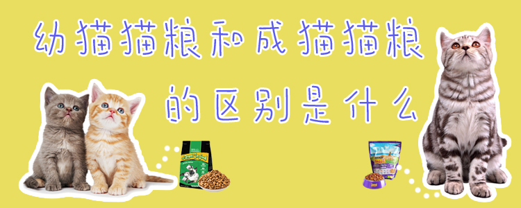幼貓貓糧和成貓貓糧的區(qū)別是什么