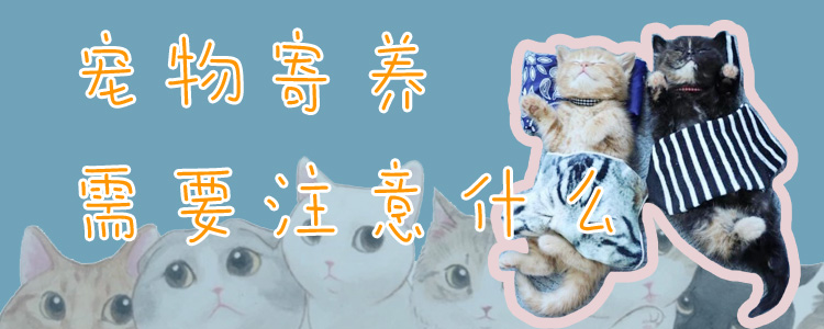 寵物寄養需要注意什么