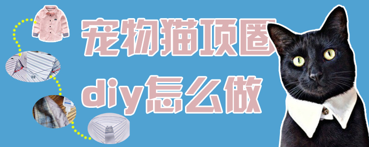 寵物貓項圈diy怎么做