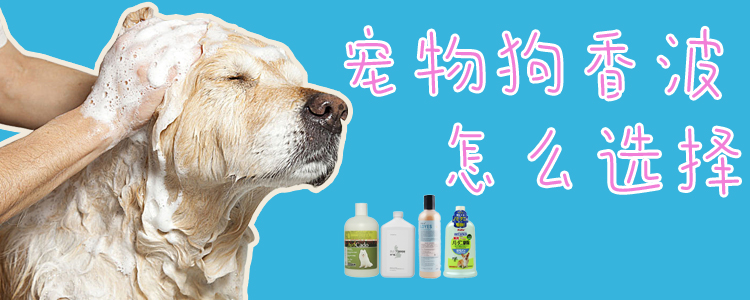 寵物狗香波怎么選擇