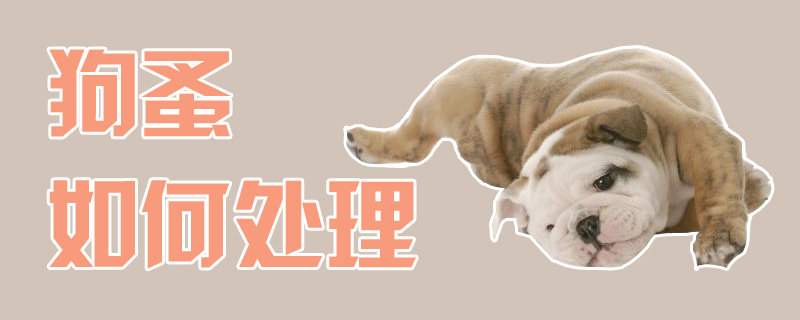 狗蚤如何處理