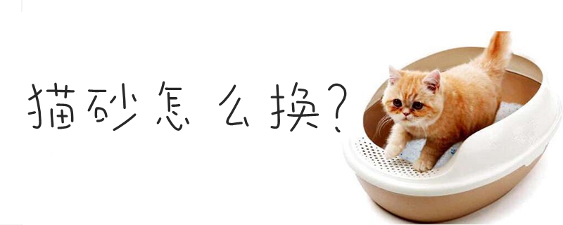 貓砂怎么換