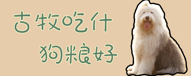 古牧吃什么狗糧好