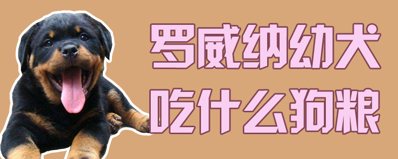 羅威納幼犬吃什么狗糧