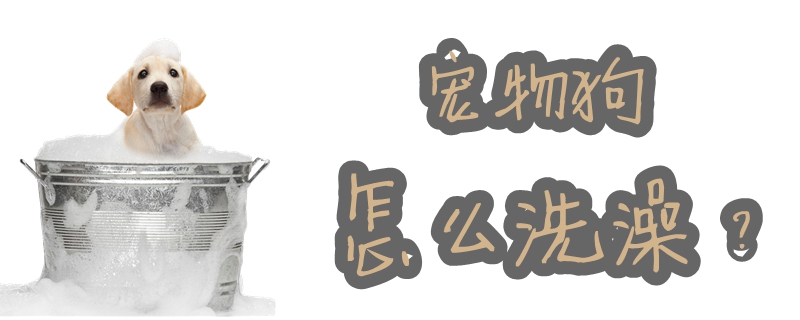 寵物狗怎么洗澡