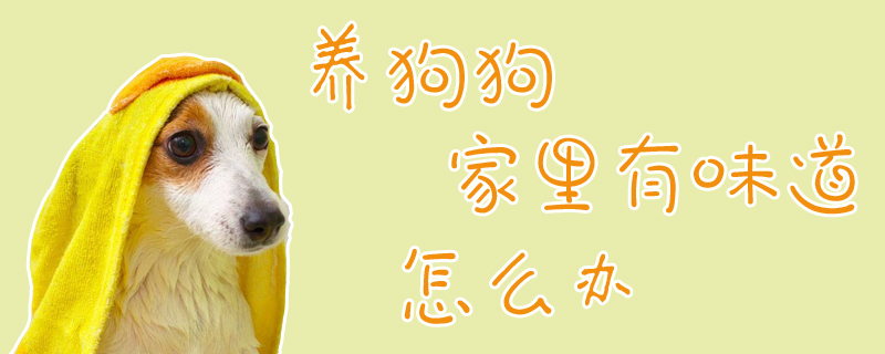 養狗狗家里有味道怎么辦