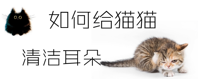 如何給貓貓清潔耳朵
