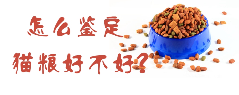 怎么鑒定貓糧好不好