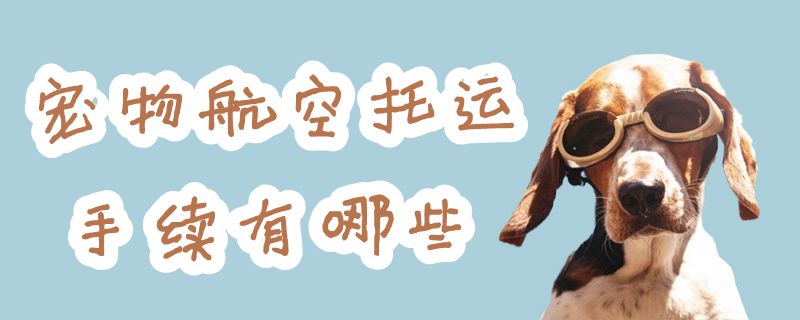 寵物航空托運手續(xù)有哪些