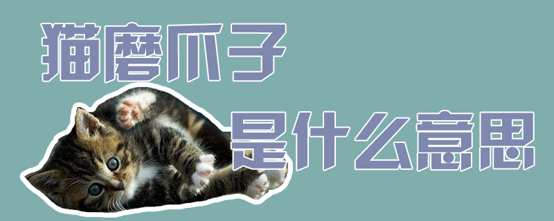 貓磨爪子是什么意思
