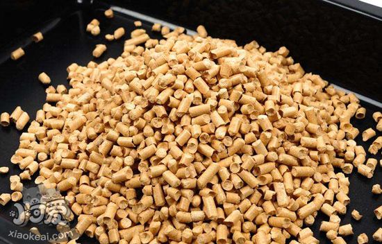 哪種貓砂比較好 常用的幾款貓砂的特點(diǎn)2