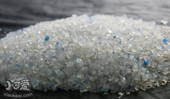 哪種貓砂比較好 常用的幾款貓砂的特點(diǎn)3