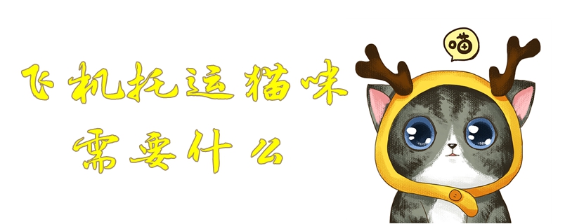 飛機托運貓咪需要什么