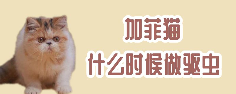 加菲貓什么時候做驅蟲