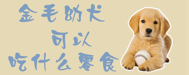 金毛幼犬可以吃什么零食1