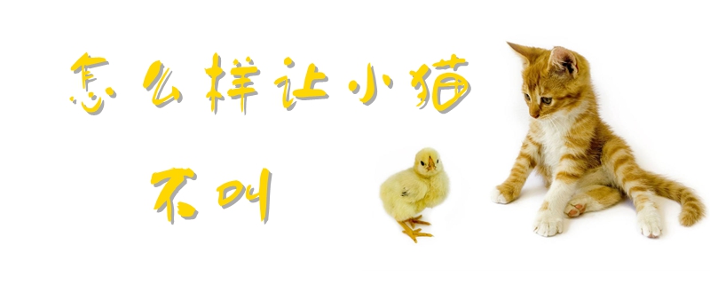 怎么樣讓小貓不叫