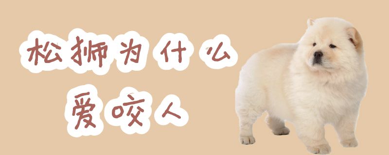 松獅為什么愛咬人