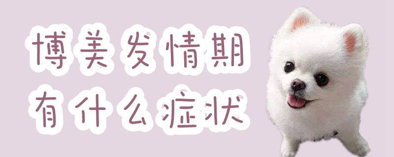 博美發(fā)情期有什么癥狀