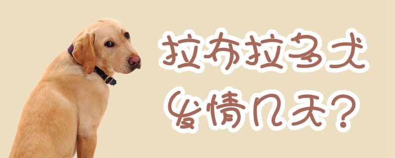 拉布拉多犬發情幾天
