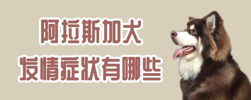 阿拉斯加犬發情癥狀有哪些