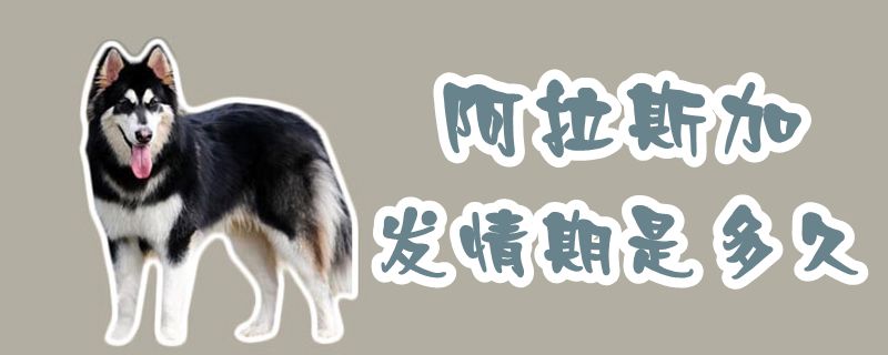 阿拉斯加發情期是多久