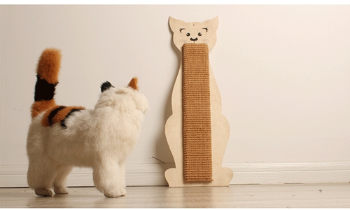 怎么訓練貓咪不亂磨爪