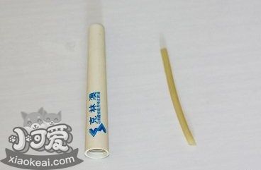 柯基怎么斷尾 柯基犬斷尾教程1