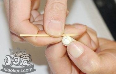 柯基怎么斷尾 柯基犬斷尾教程5